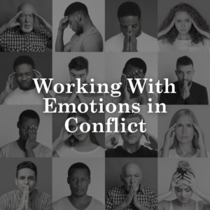 Working With Emotions in Conflict